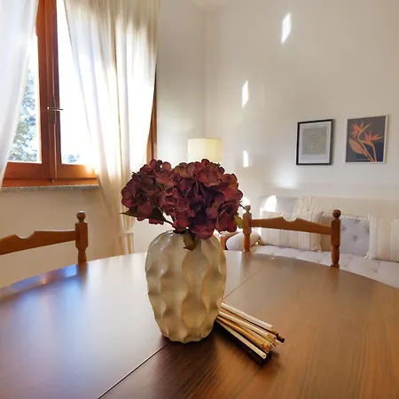 Apartment New Vintage